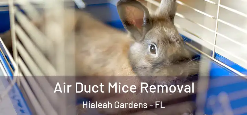 Air Duct Mice Removal Hialeah Gardens - FL