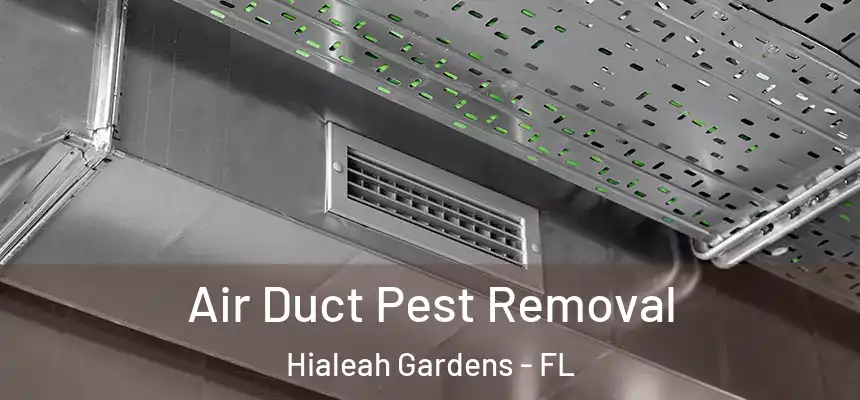 Air Duct Pest Removal Hialeah Gardens - FL
