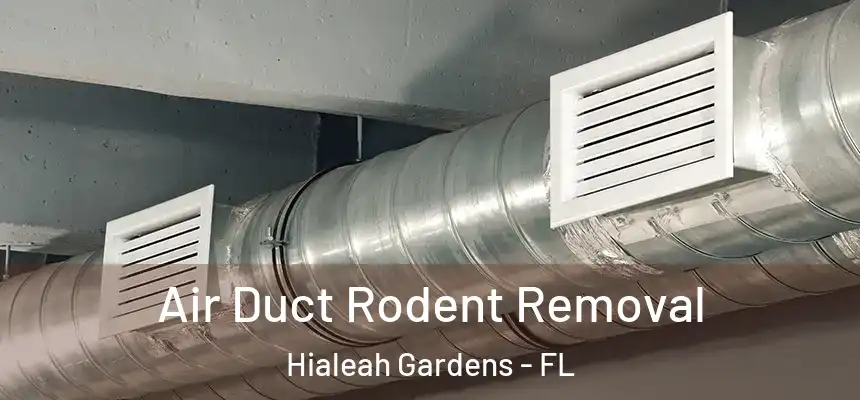 Air Duct Rodent Removal Hialeah Gardens - FL
