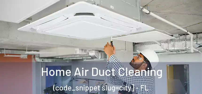  Home Air Duct Cleaning (code_snippet slug=city] - FL