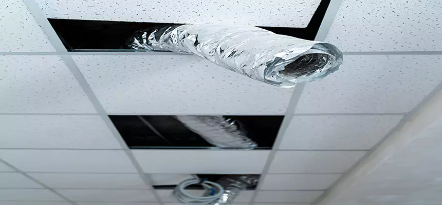 Our Air Duct Pet Hair Removal Services in Hialeah Gardens, FL