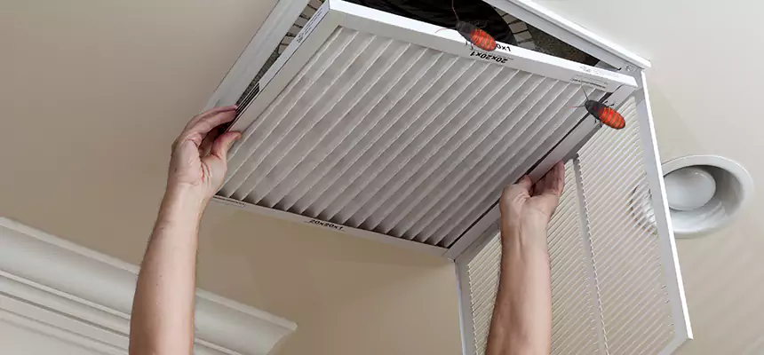 Our Insect Removal from Air Ducts Services in Hialeah Gardens, FL