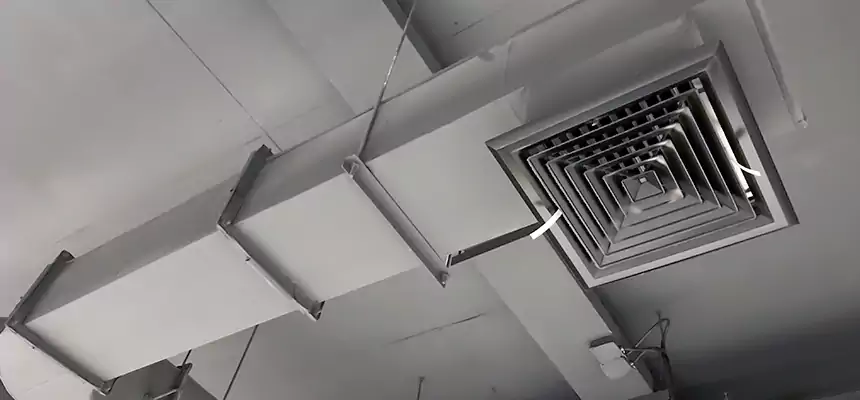 Our Pest Removal From Ducts Services in Hialeah Gardens, FL