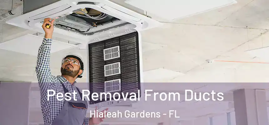 Pest Removal From Ducts Hialeah Gardens - FL