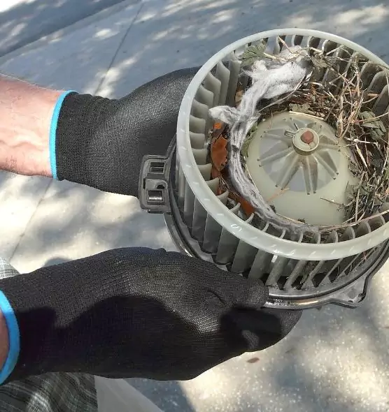 About Air Duct Rat Removal in Hialeah Gardens, FL