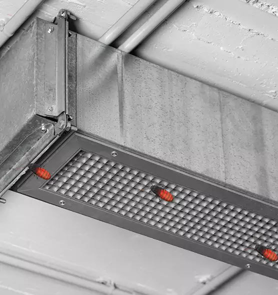 Affordable Insect Removal from Air Ducts in Hialeah Gardens, FL