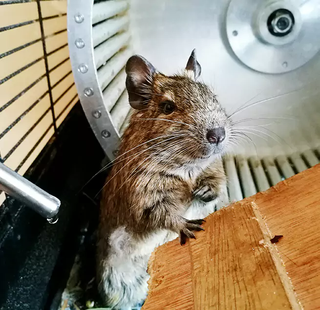 Why Homeowners & Businesses Trust Us Hialeah Gardens, FL