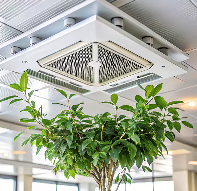 Why Homeowners & Businesses Trust Us in Hialeah Gardens, FL