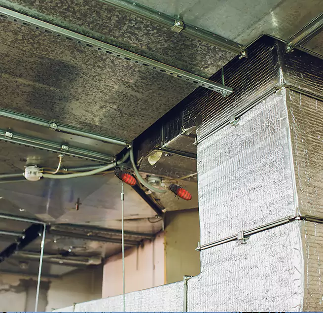 Why Homeowners & Businesses Trust Us Hialeah Gardens, FL?