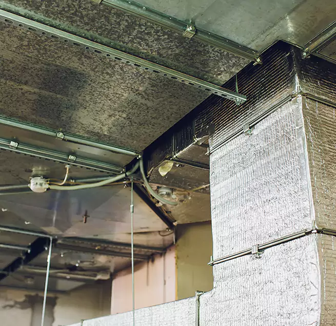 Why Homeowners & Businesses Trust Us in Hialeah Gardens, FL?