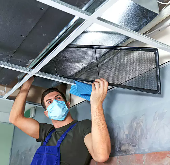 Why Homeowners Businesses Trust Us in Hialeah Gardens, FL